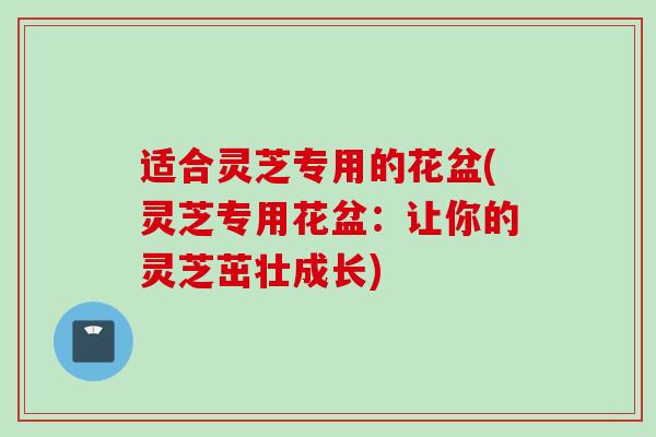 适合灵芝专用的花盆(灵芝专用花盆：让你的灵芝茁壮成长)