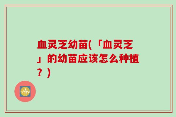 血灵芝幼苗(「血灵芝」的幼苗应该怎么种植?)