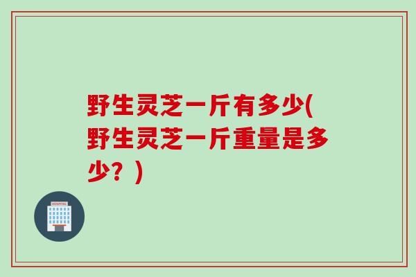野生灵芝一斤有多少(野生灵芝一斤重量是多少?) 野生灵芝一斤有多少(野生灵芝一斤重量是多少?)