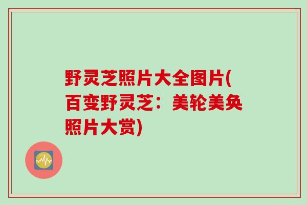 野灵芝照片大全图片(百变野灵芝:美轮美奂照片大赏) 野灵芝照片大全图片(百变野灵芝:美轮美奂照片大赏)