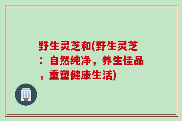 野生灵芝和(野生灵芝：自然纯净，养生佳品，重塑健康生活)