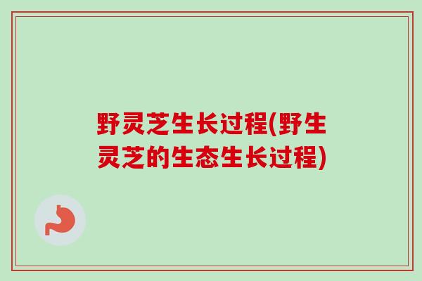 野灵芝生长过程(野生灵芝的生态生长过程)
