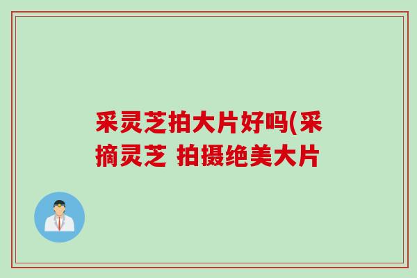 采灵芝拍大片好吗(采摘灵芝 拍摄绝美大片