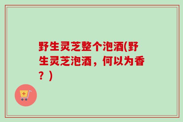 野生灵芝整个泡酒(野生灵芝泡酒，何以为香？)