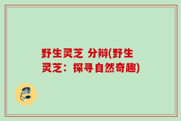 野生灵芝 分辩(野生灵芝：探寻自然奇趣)