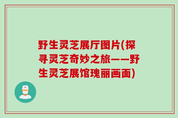 野生灵芝展厅图片(探寻灵芝奇妙之旅——野生灵芝展馆瑰丽画面)