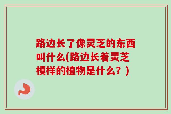 路边长了像灵芝的东西叫什么(路边长着灵芝模样的植物是什么？)