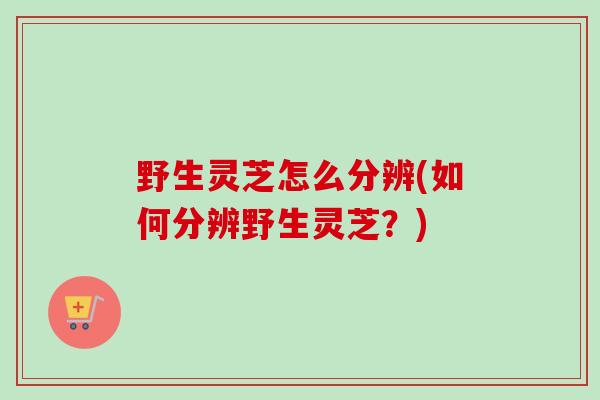 野生灵芝怎么分辨(如何分辨野生灵芝？)