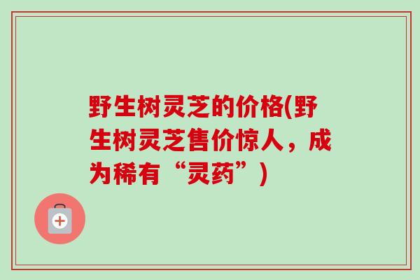野生树灵芝的价格(野生树灵芝售价惊人，成为稀有“灵药”)
