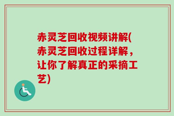 赤灵芝回收视频讲解(赤灵芝回收过程详解，让你了解真正的采摘工艺)