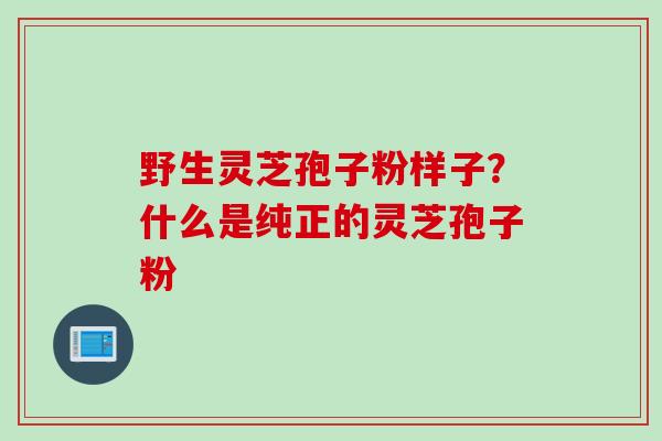 野生灵芝孢子粉样子？什么是纯正的灵芝孢子粉