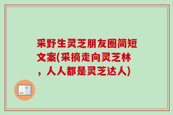 采野生灵芝朋友圈简短文案(采摘走向灵芝林，人人都是灵芝达人)
