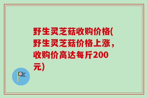 野生灵芝菇收购价格(野生灵芝菇价格上涨，收购价高达每斤200元)