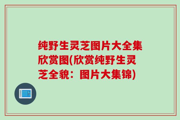 纯野生灵芝图片大全集欣赏图(欣赏纯野生灵芝全貌：图片大集锦)