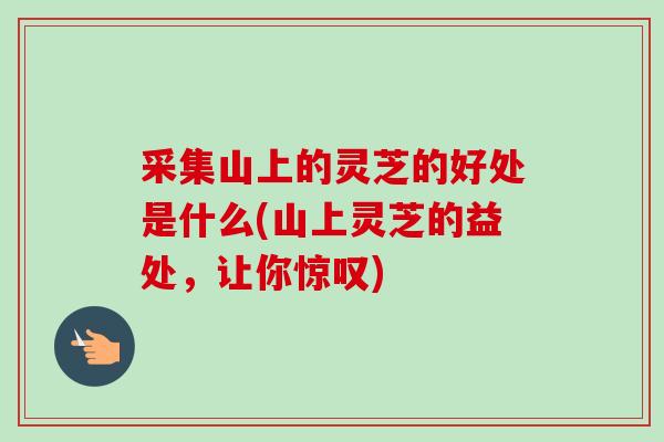 采集山上的灵芝的好处是什么(山上灵芝的益处，让你惊叹)