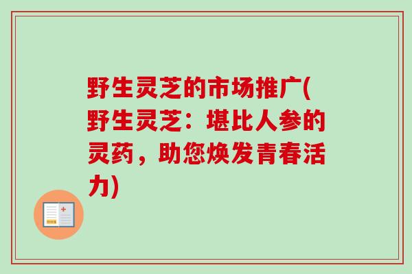 野生灵芝的市场推广(野生灵芝：堪比人参的灵药，助您焕发青春活力)