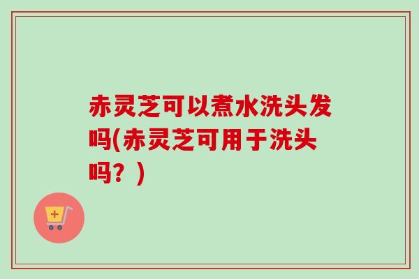 赤灵芝可以煮水洗头发吗(赤灵芝可用于洗头吗？)