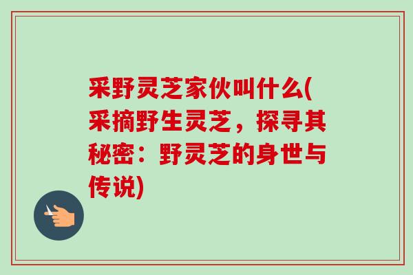 采野灵芝家伙叫什么(采摘野生灵芝，探寻其秘密：野灵芝的身世与传说)