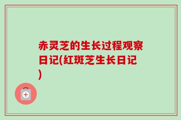 赤灵芝的生长过程观察日记(红斑芝生长日记)