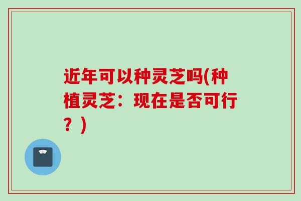 近年可以种灵芝吗(种植灵芝：现在是否可行？)