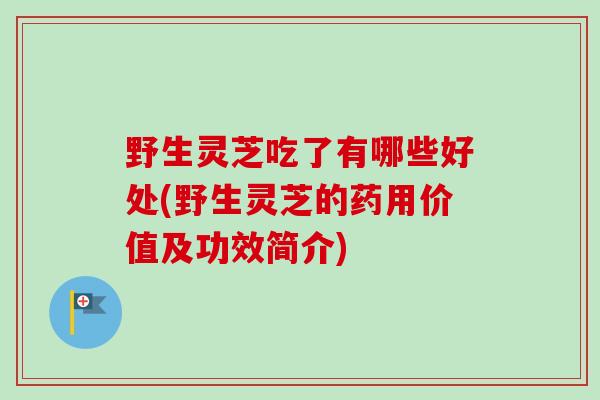 野生灵芝吃了有哪些好处(野生灵芝的药用价值及功效简介)