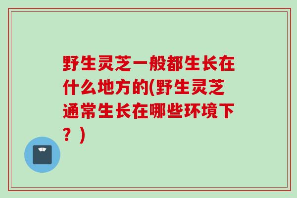 野生灵芝一般都生长在什么地方的(野生灵芝通常生长在哪些环境下？)