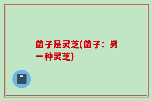 菌子是灵芝(菌子：另一种灵芝)
