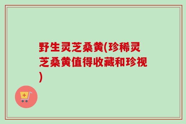 野生灵芝桑黄(珍稀灵芝桑黄值得收藏和珍视)