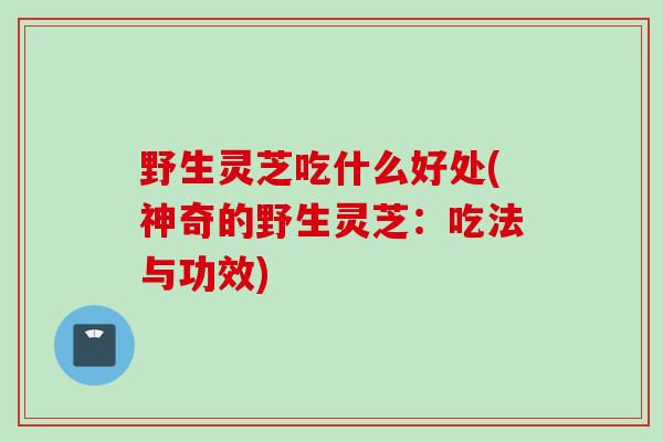 野生灵芝吃什么好处(神奇的野生灵芝：吃法与功效)