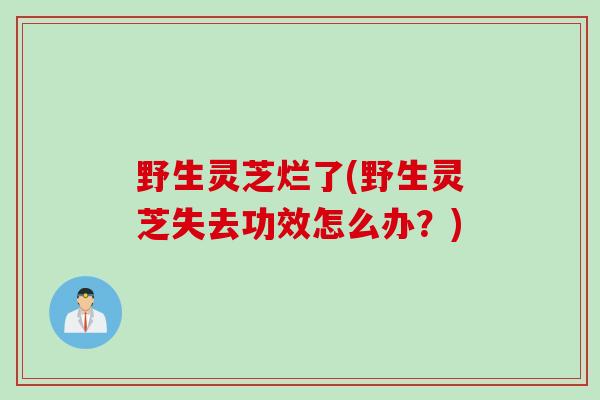 野生灵芝烂了(野生灵芝失去功效怎么办？)