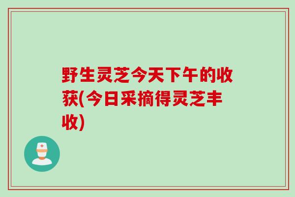 野生灵芝今天下午的收获(今日采摘得灵芝丰收)