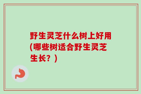 野生灵芝什么树上好用(哪些树适合野生灵芝生长？)