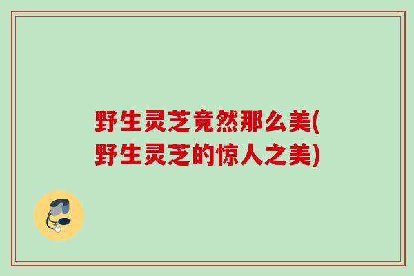 野生灵芝竟然那么美(野生灵芝的惊人之美) 野生灵芝竟然那么美(野生灵芝的惊人之美)