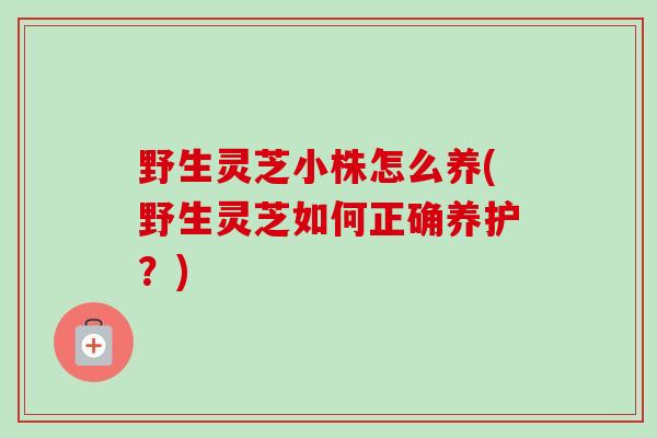 野生灵芝小株怎么养(野生灵芝如何正确养护？)