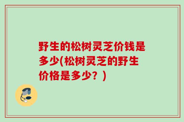 野生的松树灵芝价钱是多少(松树灵芝的野生价格是多少？)
