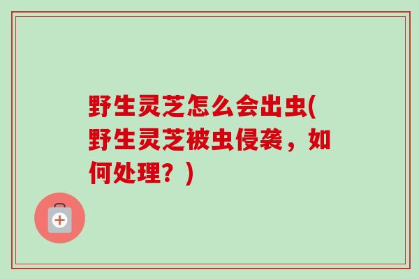 野生灵芝怎么会出虫(野生灵芝被虫侵袭，如何处理？)