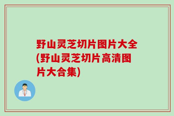 野山灵芝切片图片大全(野山灵芝切片高清图片大合集)