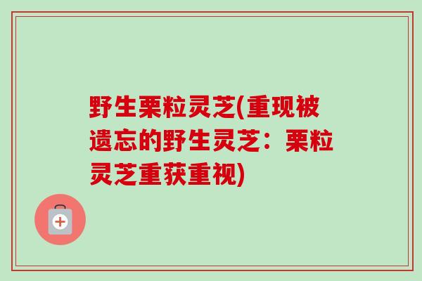 野生栗粒灵芝(重现被遗忘的野生灵芝：栗粒灵芝重获重视)