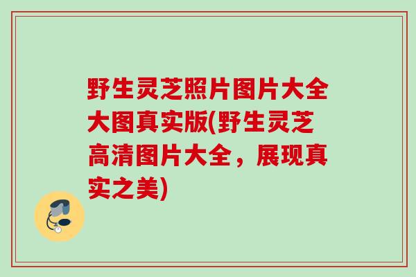 野生灵芝照片图片大全大图真实版(野生灵芝高清图片大全，展现真实之美)