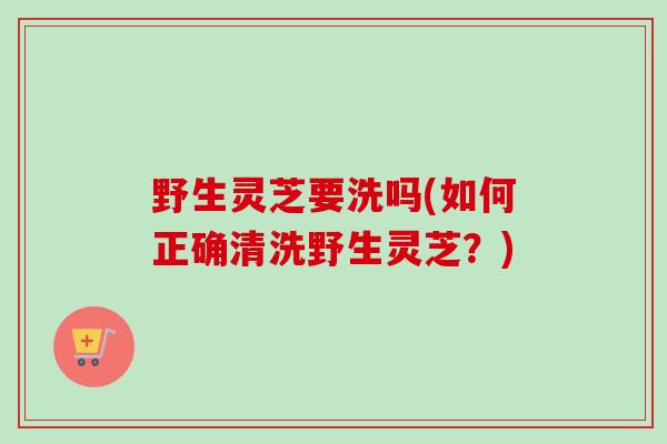 野生灵芝要洗吗(如何正确清洗野生灵芝？)