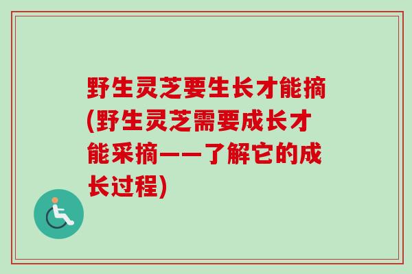野生灵芝要生长才能摘(野生灵芝需要成长才能采摘——了解它的成长过程)