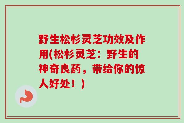 野生松杉灵芝功效及作用(松杉灵芝：野生的神奇良药，带给你的惊人好处！)