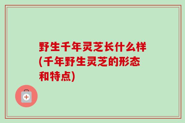 野生千年灵芝长什么样(千年野生灵芝的形态和特点)