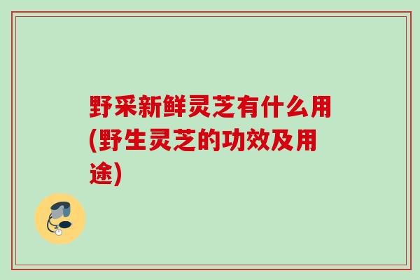 野采新鲜灵芝有什么用(野生灵芝的功效及用途)
