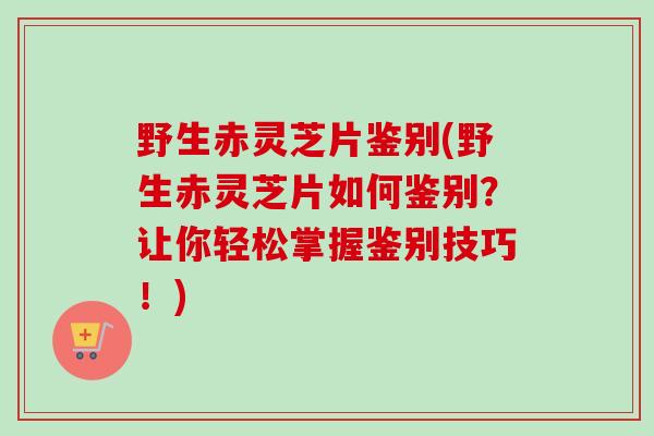 野生赤灵芝片鉴别(野生赤灵芝片如何鉴别？让你轻松掌握鉴别技巧！)