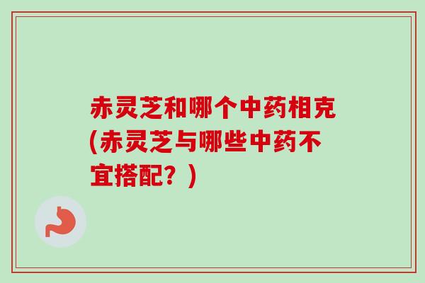 赤灵芝和哪个中药相克(赤灵芝与哪些中药不宜搭配？)
