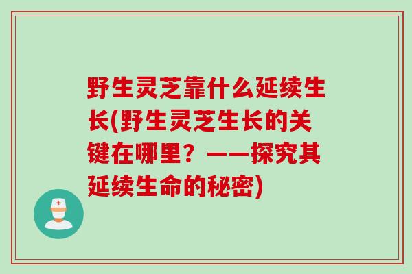 野生灵芝靠什么延续生长(野生灵芝生长的关键在哪里？——探究其延续生命的秘密)