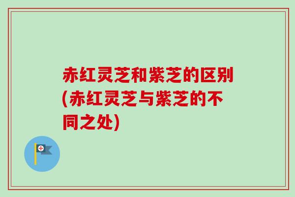 赤红灵芝和紫芝的区别(赤红灵芝与紫芝的不同之处)