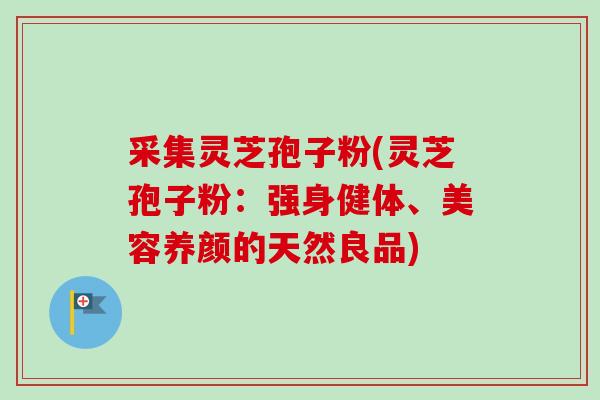 采集灵芝孢子粉(灵芝孢子粉：强身健体、美容养颜的天然良品)