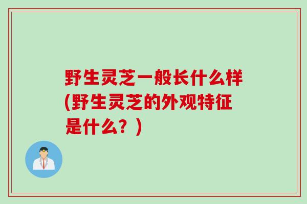 野生灵芝一般长什么样(野生灵芝的外观特征是什么？)